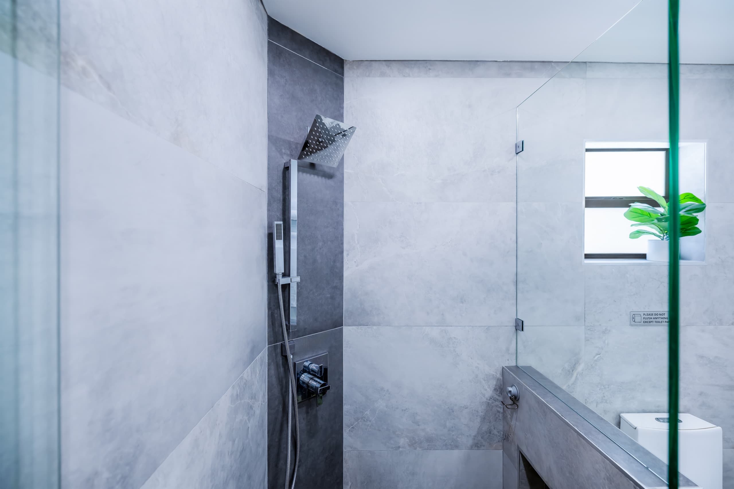 Shower fixtures with a rain head and a handheld sprayer, seen through the glass.